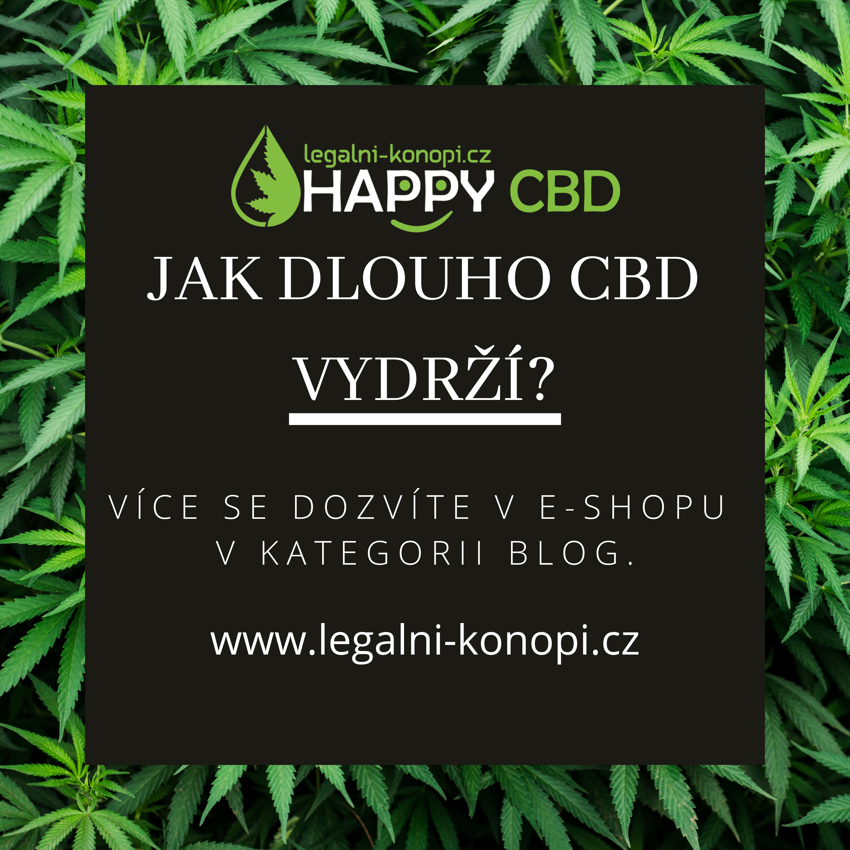 Jak dlouho pusobi CBD?